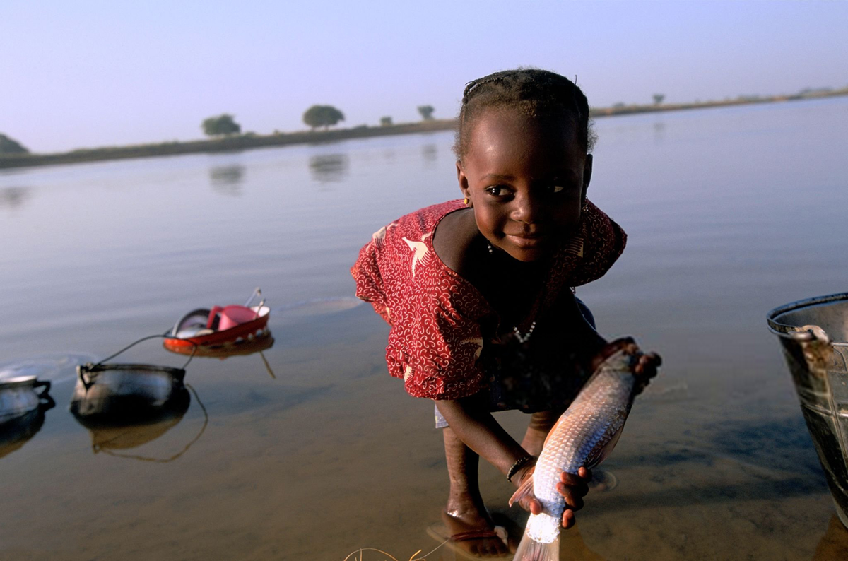 Niger becomes first african country to eliminate river blindness with who recognition