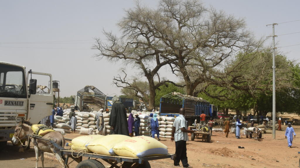 Niger: surge in displaced persons amid armed group activity in western region