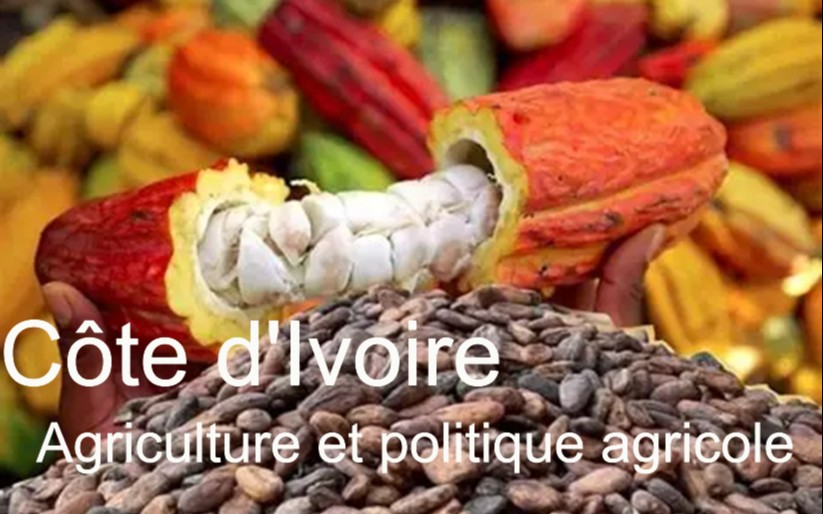The evolution of agriculture and policy in Côte d’Ivoire