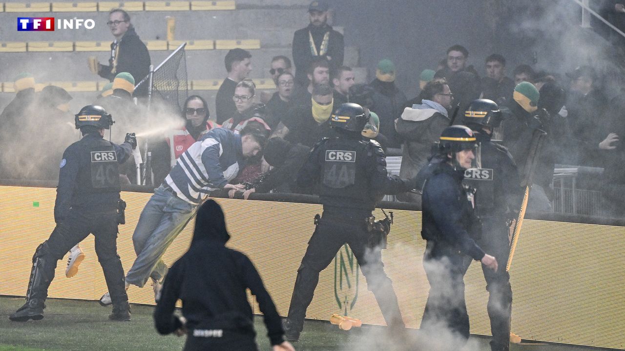 Chaotic end to the ligue 1 season for nantes as fan invasion halts toulouse match