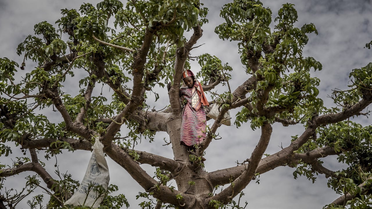 Niger’s generational economic crisis: a struggle for survival