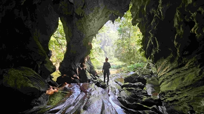 De nombreuses découvertes impressionnantes et magnifiques ont été faites dans le parc national de Phong Nha-Ke Bang.