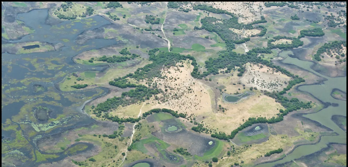 tragic incident on lake Chad: chadian airstrikes claim dozens of nigerian fisherman